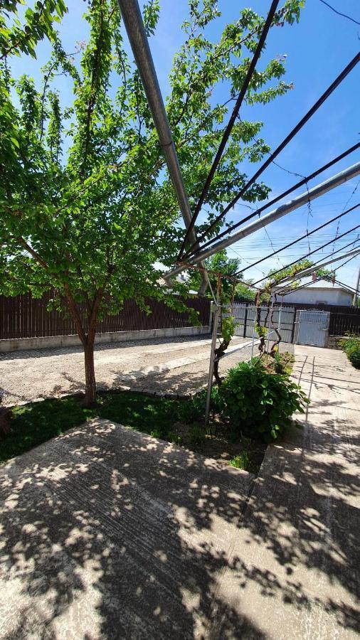 הוילה Greci Casa Caraua מראה חיצוני תמונה