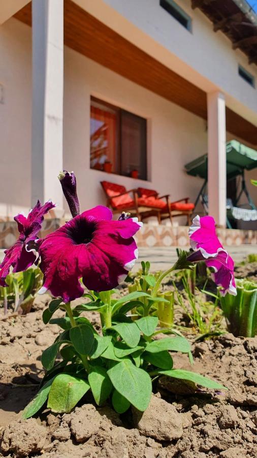 הוילה Greci Casa Caraua מראה חיצוני תמונה